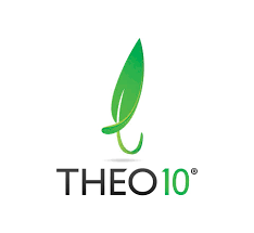 Why THEO10